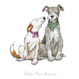 Hello Handsome by Anita Jeram