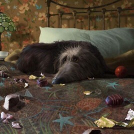 Breakfast in Bed, by Stephen Hanson