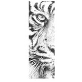 Eye Of Sumatra By Jamie Boots X
