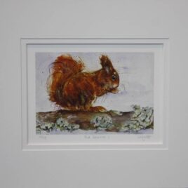 KW Red Squirrel