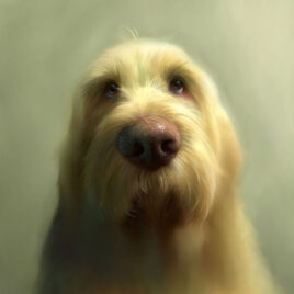 Otto, by Stephen Hanson