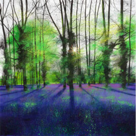 Landscape Art