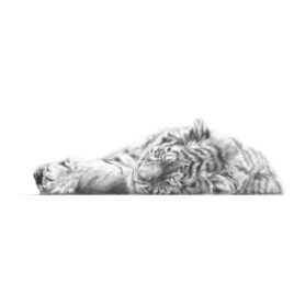 Restless Slumber By Jamie Boots X