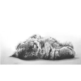 Siberian Sunbather By Jamie Boots X