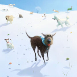 Snowballs, by Stephen Hanson