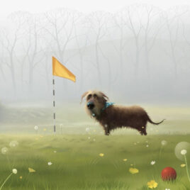 Wrong Ball, by Stephen Hanson