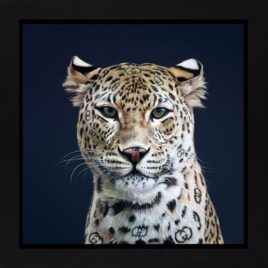 Gucci Girl Embelished Canva