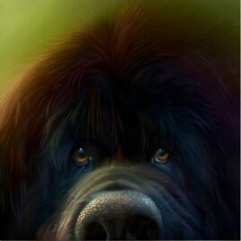 Ralph By Stephen Hanson
