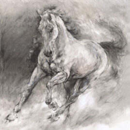 Equestrian Art
