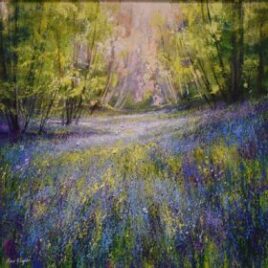 Steve McLoughlin
