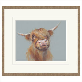 Brodie, by Nicky Litchfield