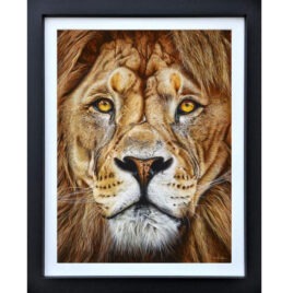 The King, by Martin Robson