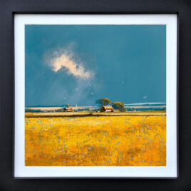 Field of Dreams, by John Horsewell