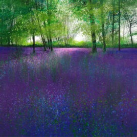 A Sea of Bluebells, by Paul Evans