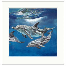 ~The Pod, by Sarah Jackson