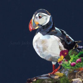 Sarah Jackson