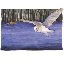 Enter the Wood with Care, by Jackie Morris