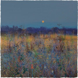 Meadow and Moon, by Paul Evans
