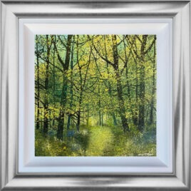 Bluebell Walk